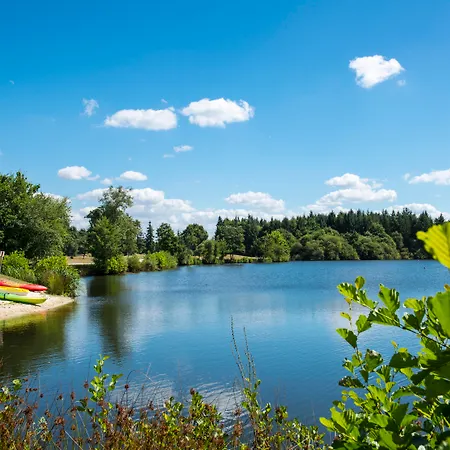 Hotel Domaine De Cice-blossac, & Golf 4*