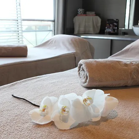 Domaine De Cicé-blossac, Spa&golf
